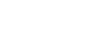 Offline Value Logo